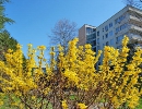 корп. 2